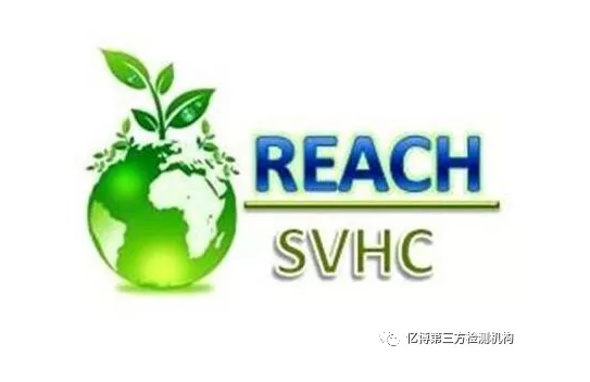 REACHJ(rn)CǏ(qing)ƵĆ